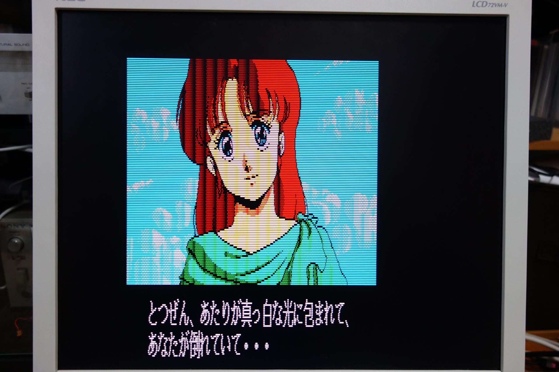 RsDSC00719